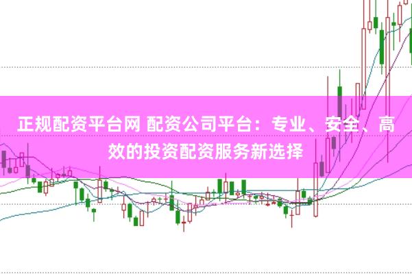 正规配资平台网 配资公司平台：专业、安全、高效的投资配资服务新选择