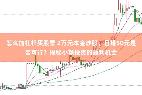 怎么加杠杆买股票 2万元本金炒股，日赚50元是否可行？揭秘小额投资的盈利机会