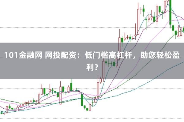 101金融网 网投配资：低门槛高杠杆，助您轻松盈利？
