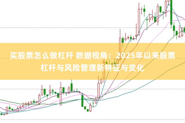 买股票怎么做杠杆 数据视角：2025年以来股票杠杆与风险管理新特征与变化