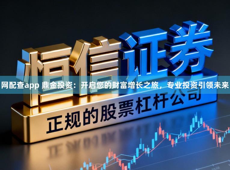 网配查app 鼎金投资：开启您的财富增长之旅，专业投资引领未来